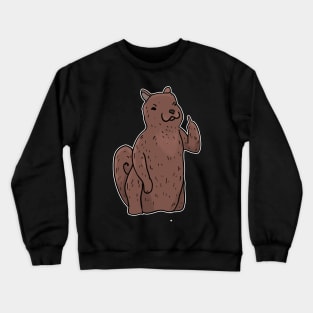 Grumpy Squirrel Holding Middle finger funny gift Crewneck Sweatshirt